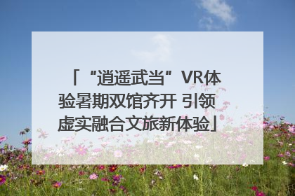 “逍遥武当”VR体验暑期双馆齐开 引领虚实融合文旅新体验