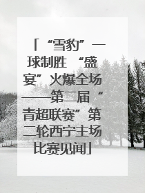 “雪豹”一球制胜 “盛宴”火爆全场——第二届“青超联赛”第二轮西宁主场比赛见闻