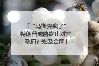 “马斯克疯了” 特朗普威胁终止对其政府补贴及合同