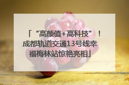 “高颜值+高科技”！成都轨道交通13号线幸福梅林站惊艳亮相