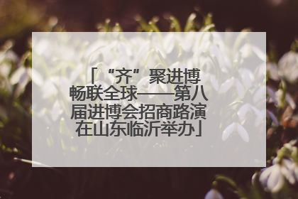 “齐”聚进博 畅联全球——第八届进博会招商路演在山东临沂举办