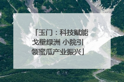 玉门：科技赋能戈壁绿洲 小院引领蜜瓜产业振兴