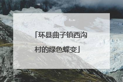环县曲子镇西沟村的绿色蝶变