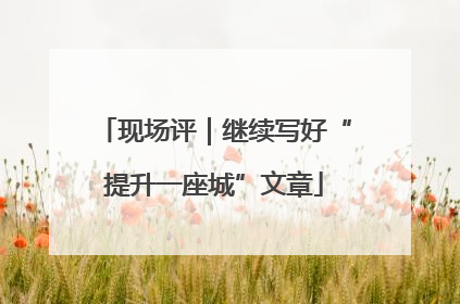 现场评｜继续写好“提升一座城”文章