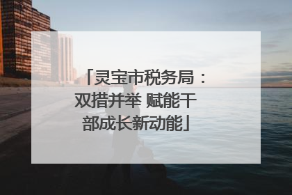 灵宝市税务局：双措并举 赋能干部成长新动能