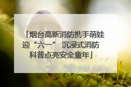 烟台高新消防携手萌娃迎“六一” 沉浸式消防科普点亮安全童年