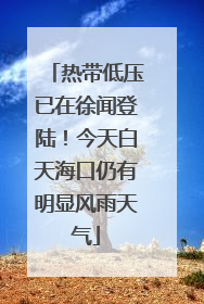 热带低压已在徐闻登陆！今天白天海口仍有明显风雨天气
