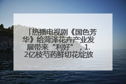 热播电视剧《国色芳华》给菏泽花卉产业发展带来“利好”，1.2亿枝芍药鲜切花绽放“国色芳华”