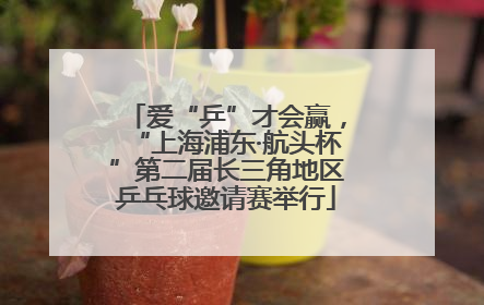 爱“乒”才会赢，“上海浦东·航头杯”第二届长三角地区乒乓球邀请赛举行