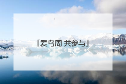 爱鸟周 共参与