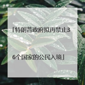 特朗普政府拟再禁止36个国家的公民入境