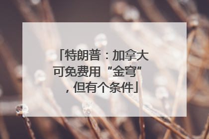 特朗普：加拿大可免费用“金穹”，但有个条件