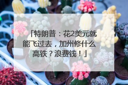 特朗普：花2美元就能飞过去，加州修什么高铁？浪费钱！