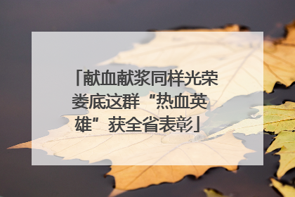 献血献浆同样光荣 娄底这群“热血英雄”获全省表彰