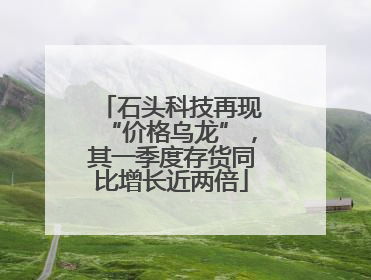 石头科技再现“价格乌龙”，其一季度存货同比增长近两倍