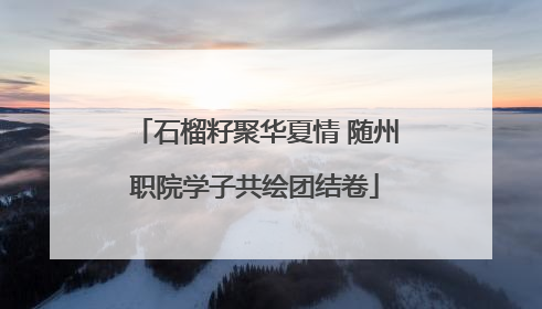 石榴籽聚华夏情 随州职院学子共绘团结卷