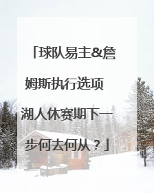球队易主&詹姆斯执行选项 湖人休赛期下一步何去何从？
