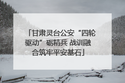 甘肃灵台公安“四轮驱动”砺精兵 战训融合筑牢平安基石