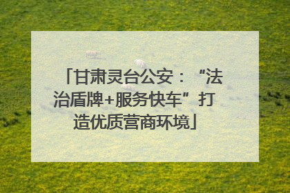 甘肃灵台公安：“法治盾牌+服务快车”打造优质营商环境