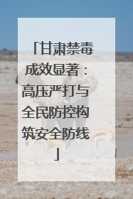 甘肃禁毒成效显著：高压严打与全民防控构筑安全防线