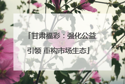 甘肃福彩：强化公益引领 重构市场生态