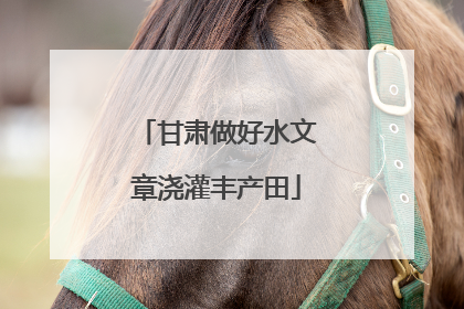 甘肃做好水文章浇灌丰产田