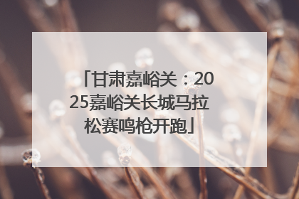 甘肃嘉峪关：2025嘉峪关长城马拉松赛鸣枪开跑