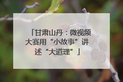 甘肃山丹：微视频大赛用“小故事”讲述“大道理”