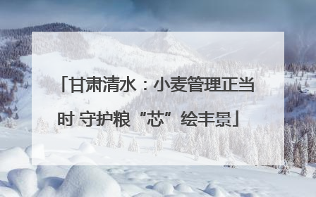 甘肃清水：小麦管理正当时 守护粮“芯”绘丰景