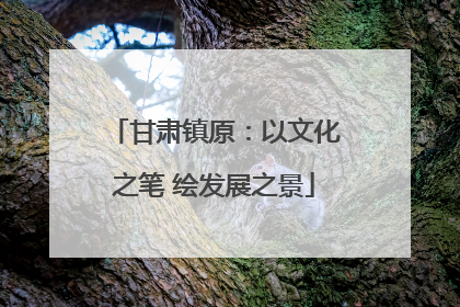 甘肃镇原：以文化之笔 绘发展之景
