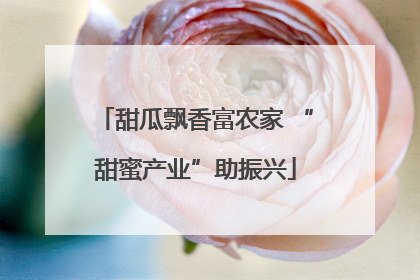 甜瓜飘香富农家 “甜蜜产业”助振兴