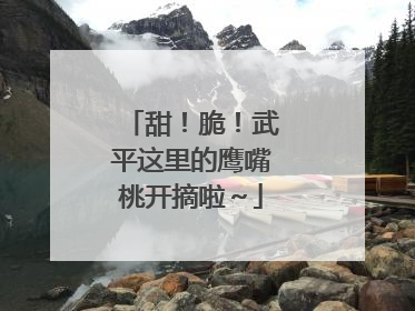 甜！脆！武平这里的鹰嘴桃开摘啦～