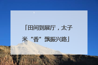 田间到展厅，太子米“香”飘振兴路