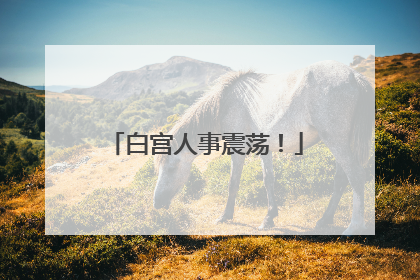 白宫人事震荡！