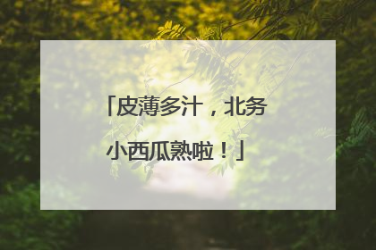 皮薄多汁，北务小西瓜熟啦！
