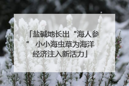 盐碱地长出“海人参” 小小海虫草为海洋经济注入新活力
