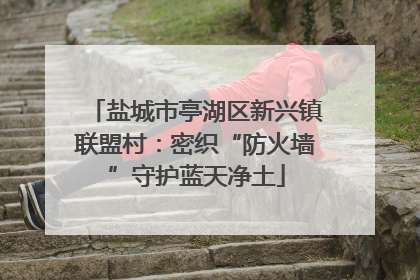 盐城市亭湖区新兴镇联盟村：密织“防火墙”守护蓝天净土