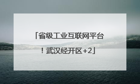 省级工业互联网平台！武汉经开区+2