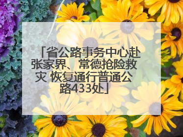 省公路事务中心赴张家界、常德抢险救灾 恢复通行普通公路433处