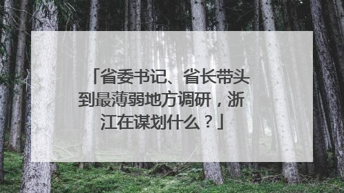 省委书记、省长带头到最薄弱地方调研，浙江在谋划什么？