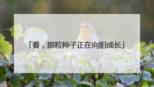 看，那粒种子正在向阳成长