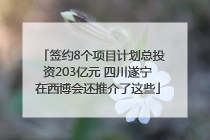 签约8个项目计划总投资203亿元 四川遂宁在西博会还推介了这些