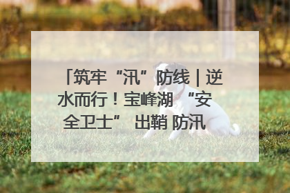 筑牢“汛”防线｜逆水而行！宝峰湖 “安全卫士” 出鞘 防汛应急再添硬核力量