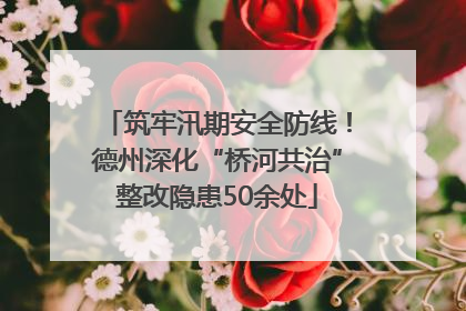 筑牢汛期安全防线！德州深化“桥河共治”整改隐患50余处