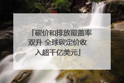 碳价和排放覆盖率双升 全球碳定价收入超千亿美元