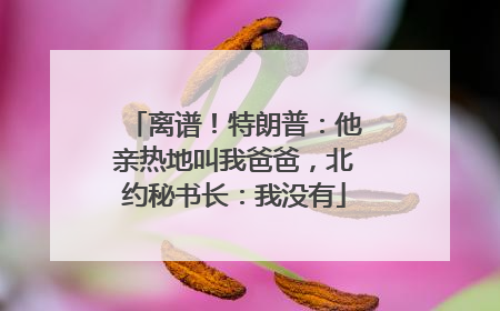 离谱！特朗普：他亲热地叫我爸爸，北约秘书长：我没有