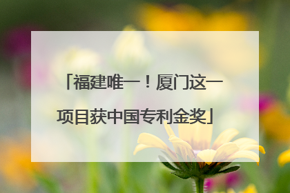 福建唯一！厦门这一项目获中国专利金奖