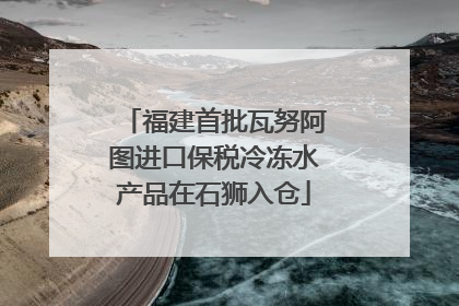 福建首批瓦努阿图进口保税冷冻水产品在石狮入仓