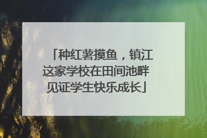 种红薯摸鱼，镇江这家学校在田间池畔见证学生快乐成长