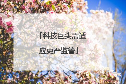 科技巨头需适应更严监管